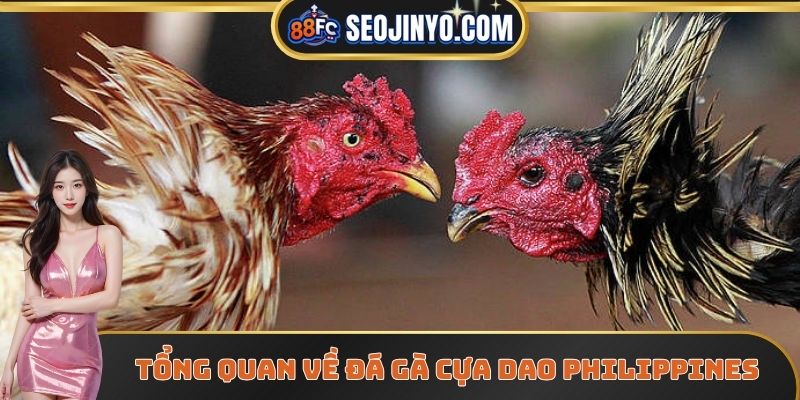 Tổng quan về đá gà cựa dao philippines trực tiếp
